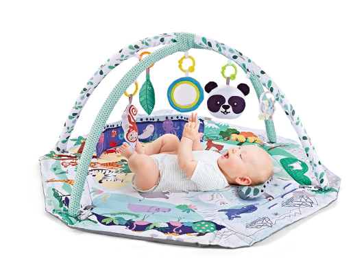 Fun Baby Play Gym and Sensory Mat