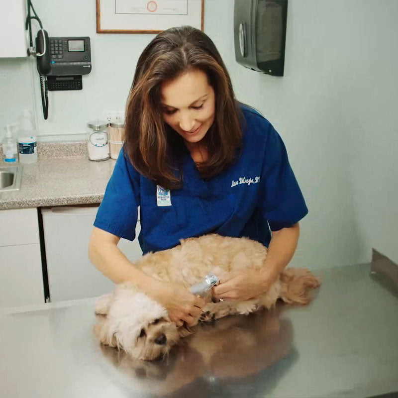 Safe Easy Pet Nail Trimmers with Quick Sensors