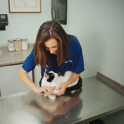 Safe Easy Pet Nail Trimmers with Quick Sensors