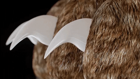 Safe Easy Pet Nail Trimmers with Quick Sensors